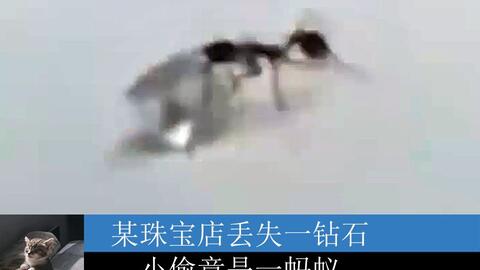 51a8ad78a388a981d6230fa2c50c2566a334e1e4.jpg@480w_270h_1c