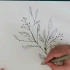 创意插画-简单手绘花枝
