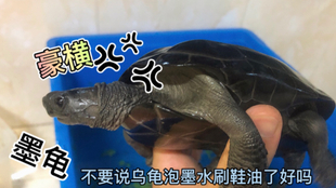 51bfcb2dd5244cfa7eba3822ac598d39a6c393e8.jpg@310w_174h_1c_100q.jpg