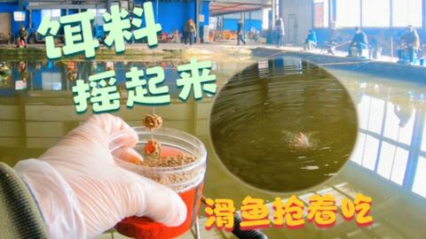 51cb7dae79dd80f97535b77517e061070e742692.jpg@480w_270h_1c