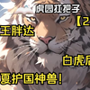 重生成虎，虎王胖达，神兽白虎后裔，守护大夏之神兽
