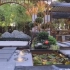 无觅造园：95平新中式庭院设计，美赞了