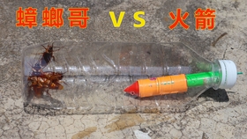 51e029ee299951fe84793a6ee7fb7b99a183026b.jpg@280w_158h_1c_100q.jpg