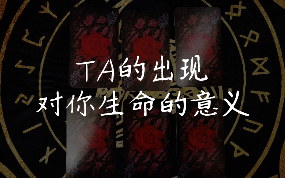 【龙女塔罗】TA的出现对你生命的意义（暧昧关系探索）