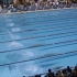 美国PAC12 CAl 加州大学伯克利分校游泳队游泳比赛集锦