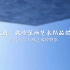 【自制短片】武汉大学万林艺术博物馆敦煌艺术壁画展宣传