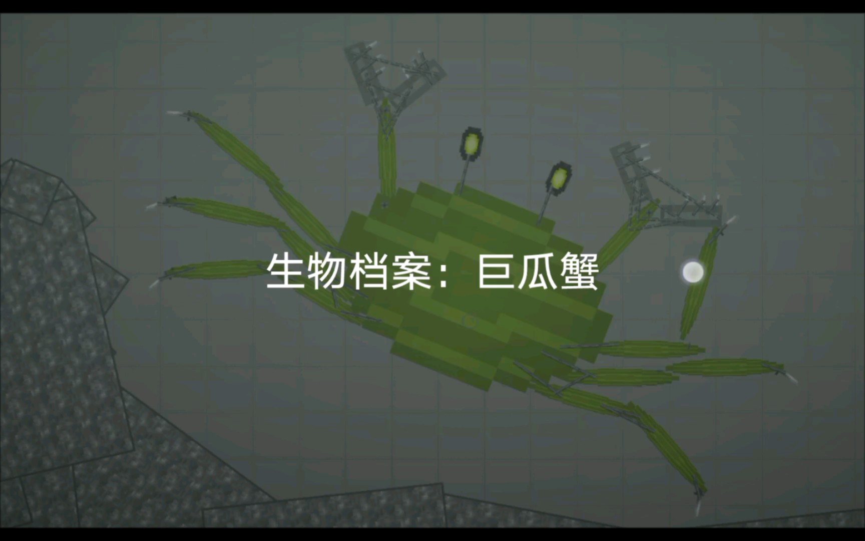 【甜瓜游乐场 / 生物档案 海洋篇】巨瓜蟹2
