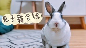 522af063a8fee4366646df246cf7669e00ebafce.jpg@280w_158h_1c_100q.jpg