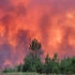 法国西南部山火已致万人撤离：热成像图紫红一片 宛如人间炼狱