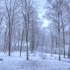 又是一年冬日飞雪，延时摄影让你在40秒内感受四季变化！
