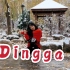 【妈妈木】初雪中的Dingga