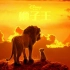 【1080P+/中字】迪士尼全CG版《狮子王》最新国际版预告片 年度巨制特效逆天 王者即将霸气归来