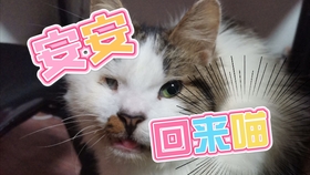 526c043d04e9fbb060f7fc222ed16f06d1a3d092.jpg@280w_158h_1c_100q.jpg