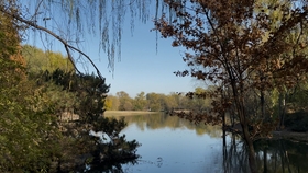 5273a39772db30f139078437b2f44a4949480359.jpg@280w_158h_1c_100q.jpg