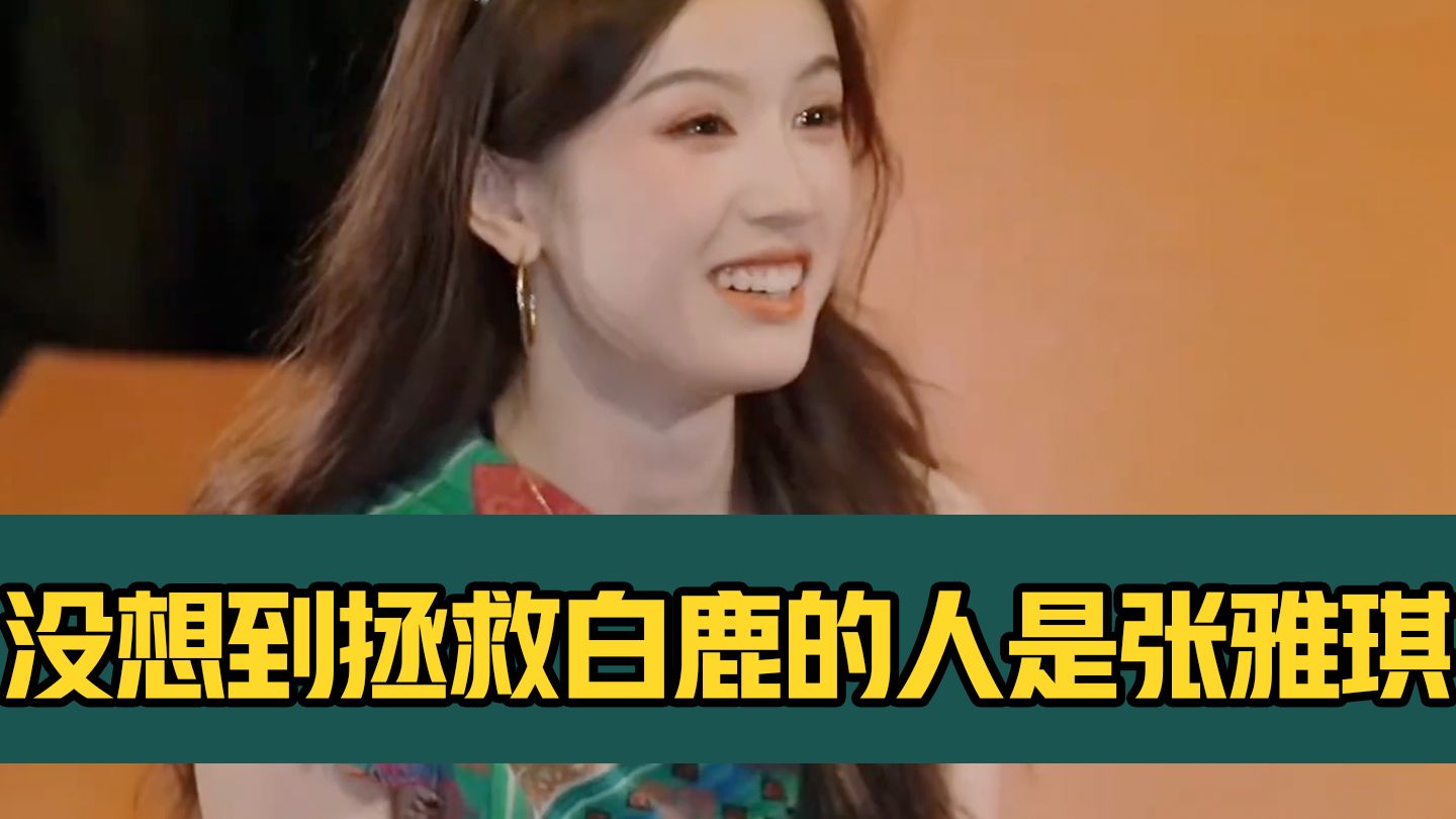 没想到拯救白鹿的人是张雅琪