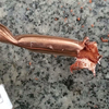 显卡散热器铜管内部有没有液体？拆一个研究一下