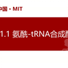 【分子生物学】31.1 氨酰-tRNA合成酶