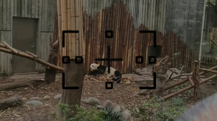 Chengdu Panda Base ～～～～～～
