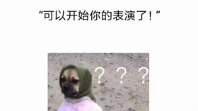52bf1cd07e44c39f7fc7d1c80d5b15db3c4013d5.jpg@280w_158h_1c_100q.jpg