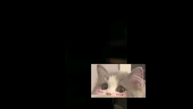 流行歌曲笛子曲谱_抖音最火歌曲笛子曲谱(5)