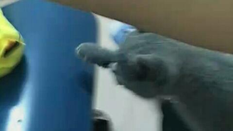 52d2c3bfdfc3e95c990c2aeb4ef3d71ead4af4f8.jpg@480w_270h_1c
