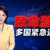汉坦病毒已致3人死亡！多国紧急追踪