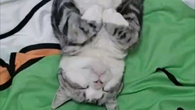 52dbc651980446c5cf7961f45c1de499ea8baec0.jpg@280w_158h_1c_100q.jpg