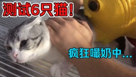 52e10184fa6242b761bbbbaffc9e9e2bde437461.jpg@280w_158h_1c_100q.jpg