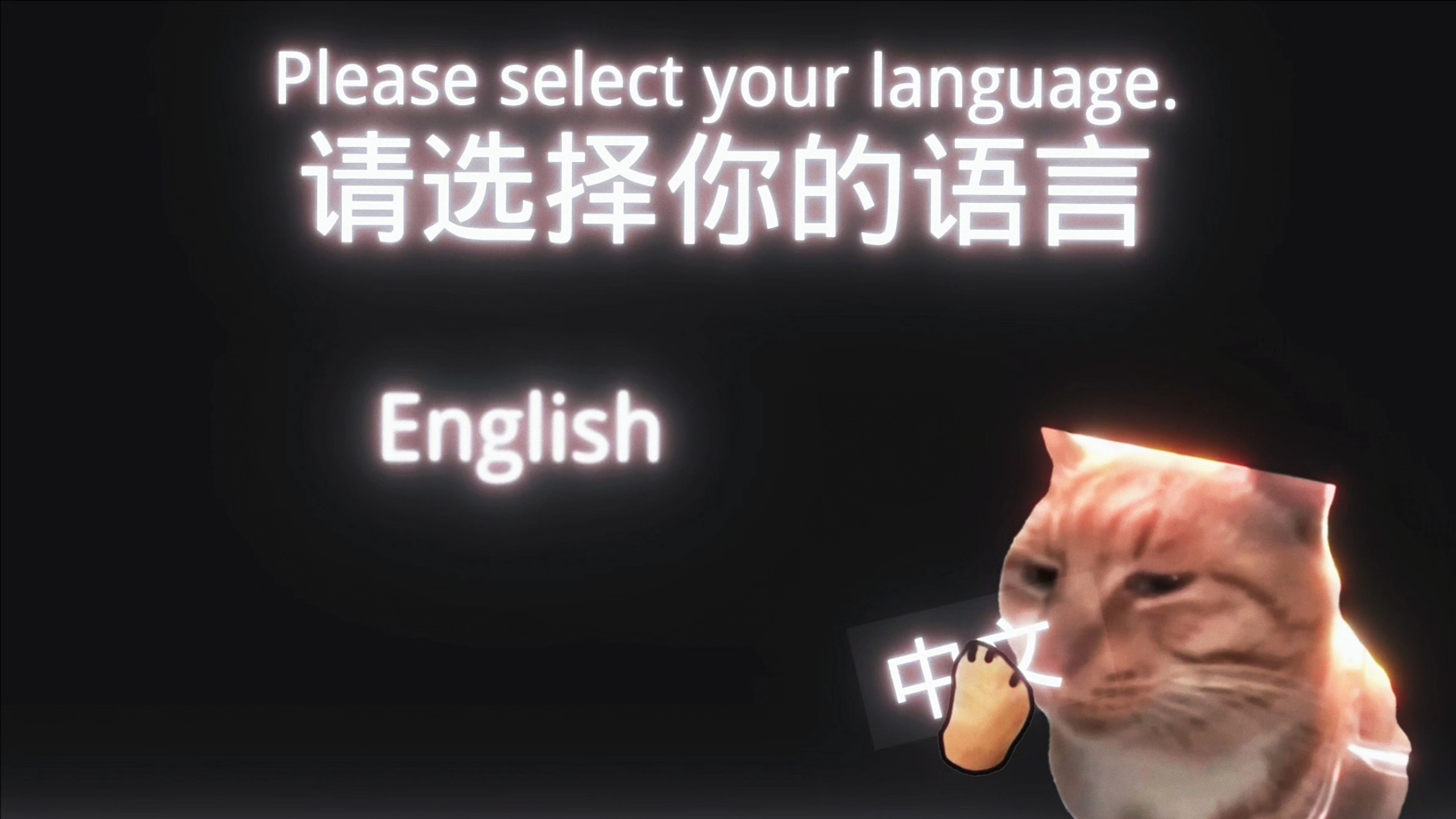猫Meme Vs 中文