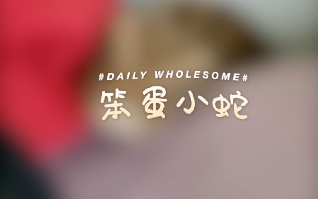 internet-boy-internet-boy