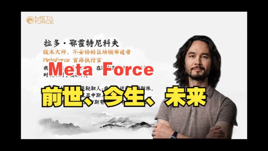 metaforce前世今生和未来