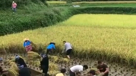 怎么才能让自己的心情放轻松 530f8484c32dc04a61f8ae1e53f97d25d8ae878e.jpg@280w_158h_1c_100q.jpg