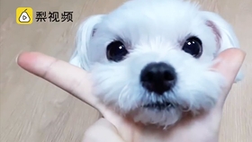 531ec296c7d90b94c95b4fc6d8ac1770a74f30d6.jpg@280w_158h_1c_100q.jpg
