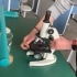 2021生物实验考试 9 显微镜的对光