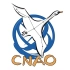 [CNAO] 2020天文奥赛纪念！