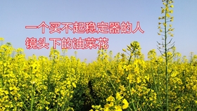 532e185f87b698d1e912d9f3f74c9862b2cdc139.jpg@280w_158h_1c_100q.jpg