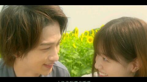 清新剧集：如同一杯新鲜果汁，喝了让你心情大好