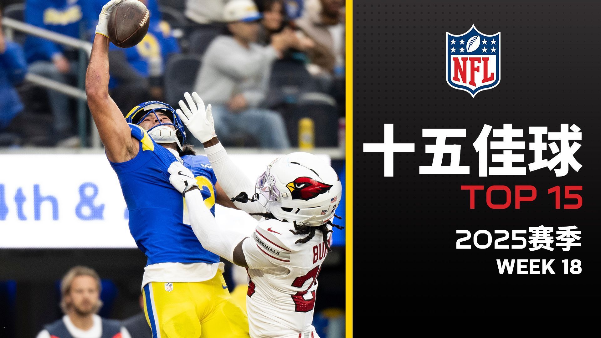 【NFL15佳球】常规赛收官！精彩加倍