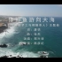 【官方MV】郑羽淇 - 像鲸鱼游向大海