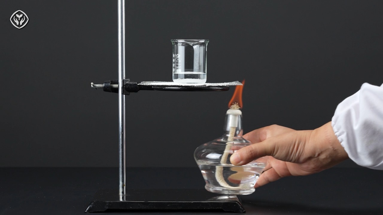 0902 硝酸钾在水中的溶解 2024人教新版