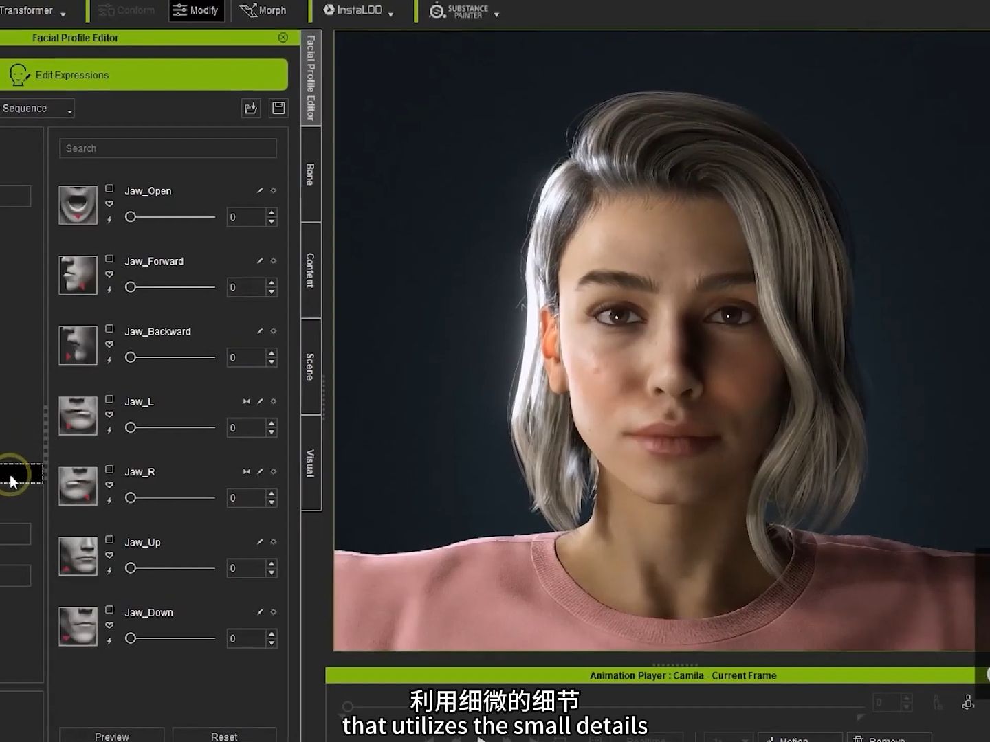 29 - CC4教程 - 入门CC4面部配置和升级CC3角色