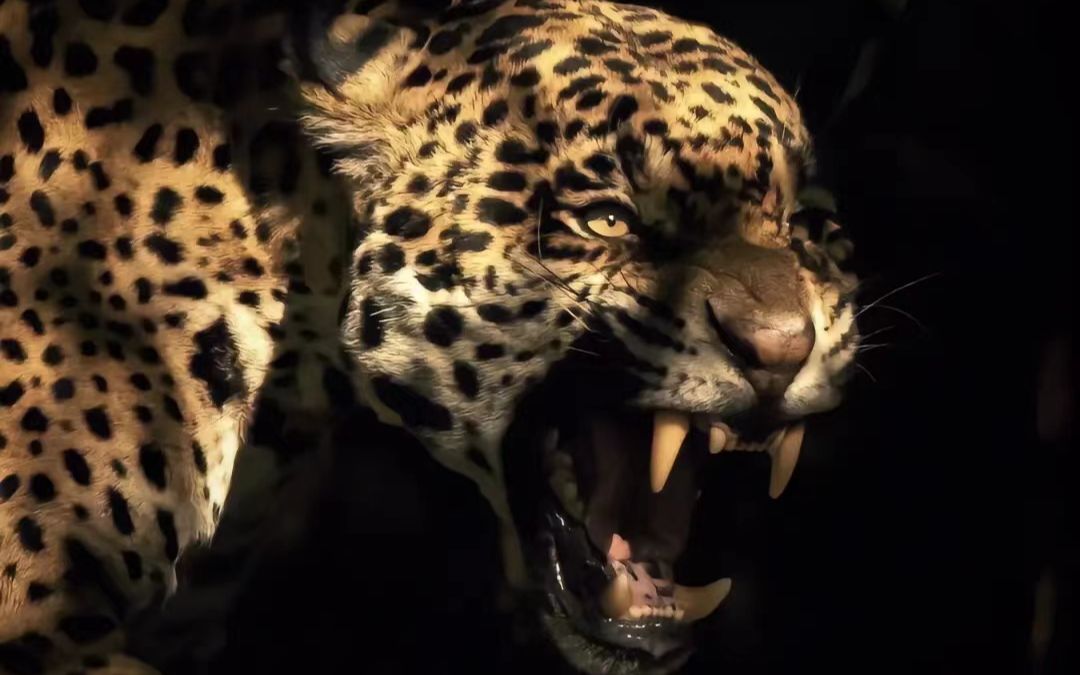 曼陀罗——杀死所有恐惧，成为道路开启者（剧变能量）