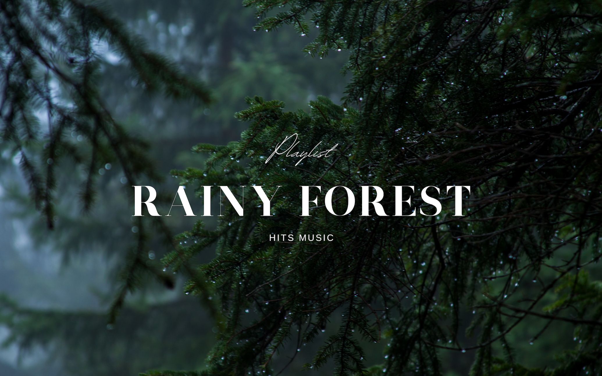 [𝗽𝗹𝗮𝘆𝗹𝗶𝘀𝘁] ☔ 雨天 | 观赏下雨的树林 | 雨声和氛围音乐 | 视频