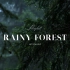 [????????] ☔ 雨天 | 观赏下雨的树林 | 雨声和氛围音乐 | 视频