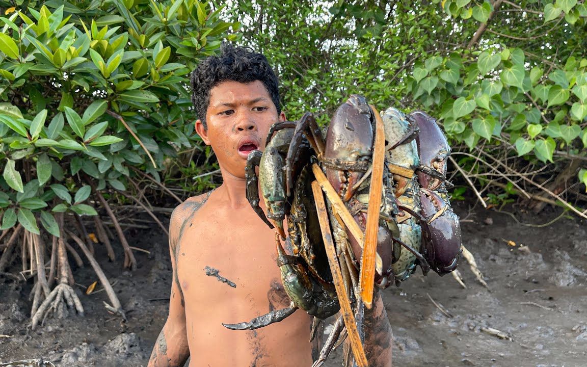 菲律宾青蟹多到泛滥，红树林里泥滩水坑藏了很多，抓蟹人抓爆一桶