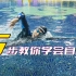 零基础5步轻松学会自由泳