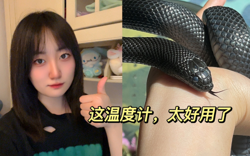 爬宠好物推荐——温度计