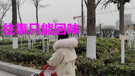 53ce704e6ca5d5376d3f7edcee7ebae36830fac7.jpg@280w_158h_1c_100q.jpg
