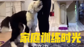 歪瓜裂枣指的是什么瓜 53d89ed65843bc6f06a2e2dd55ce47f7f20a5a2a.jpg@280w_158h_1c_100q.jpg