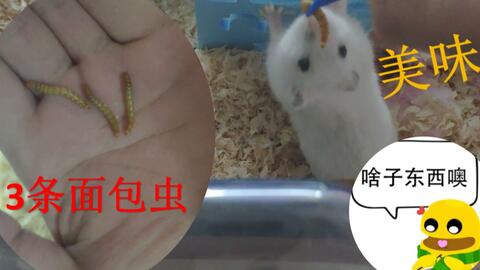 53ef642d54a555814bdff96549223276ba0c1725.jpg@480w_270h_1c